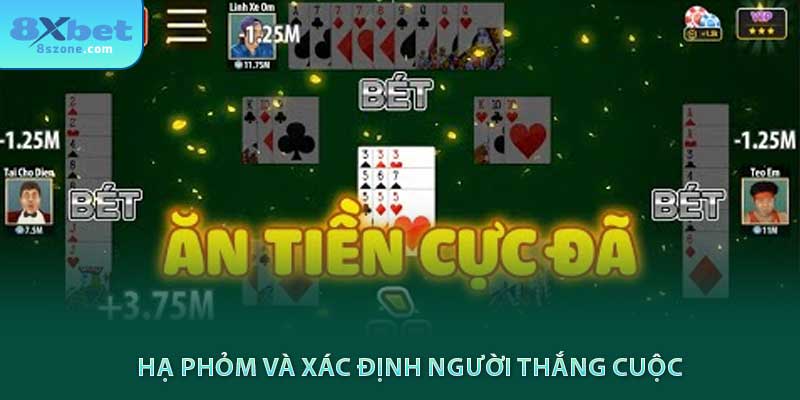 Bài phỏm là gì? Cách chơi như thế nào 22 Hạ phỏm và xác định người thắng cuộc